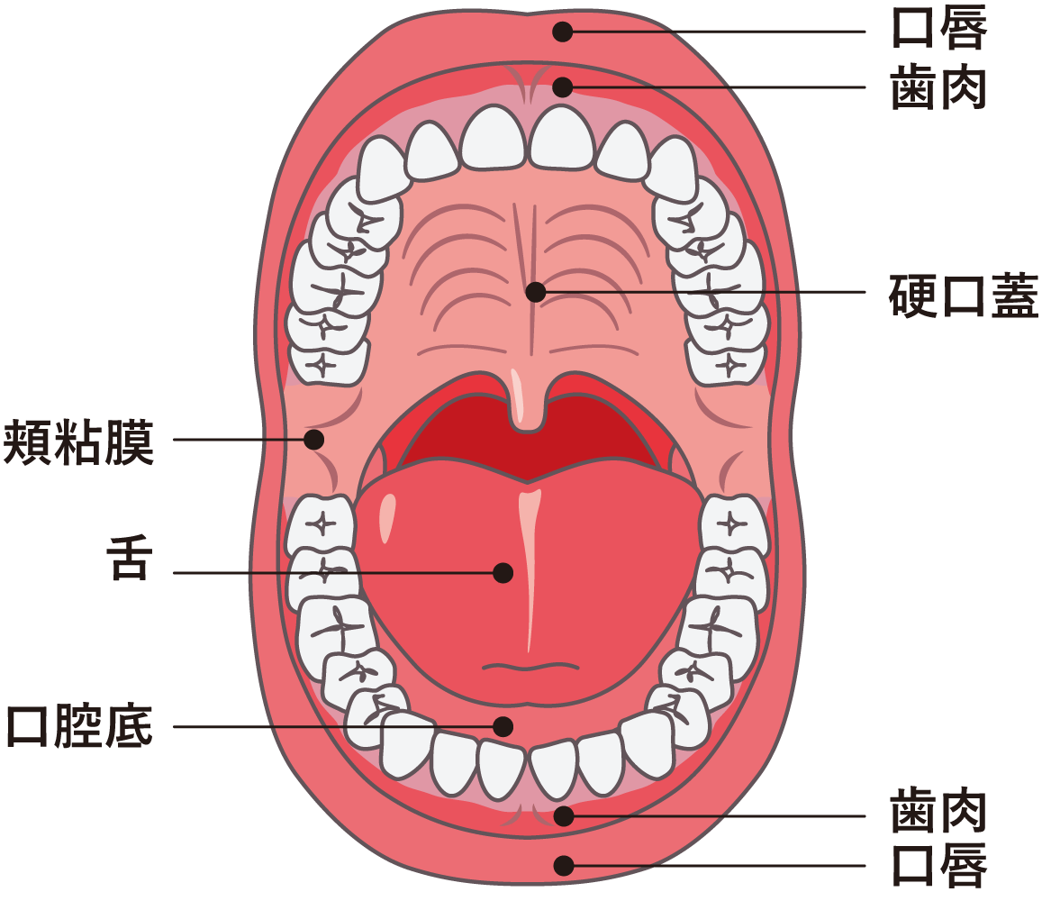 牙科医生口腔医院病人看牙修牙补牙_1920X1080_高清视频素材下载(编号:4692690)_实拍视频_光厂(VJ师网) www.vjshi.com