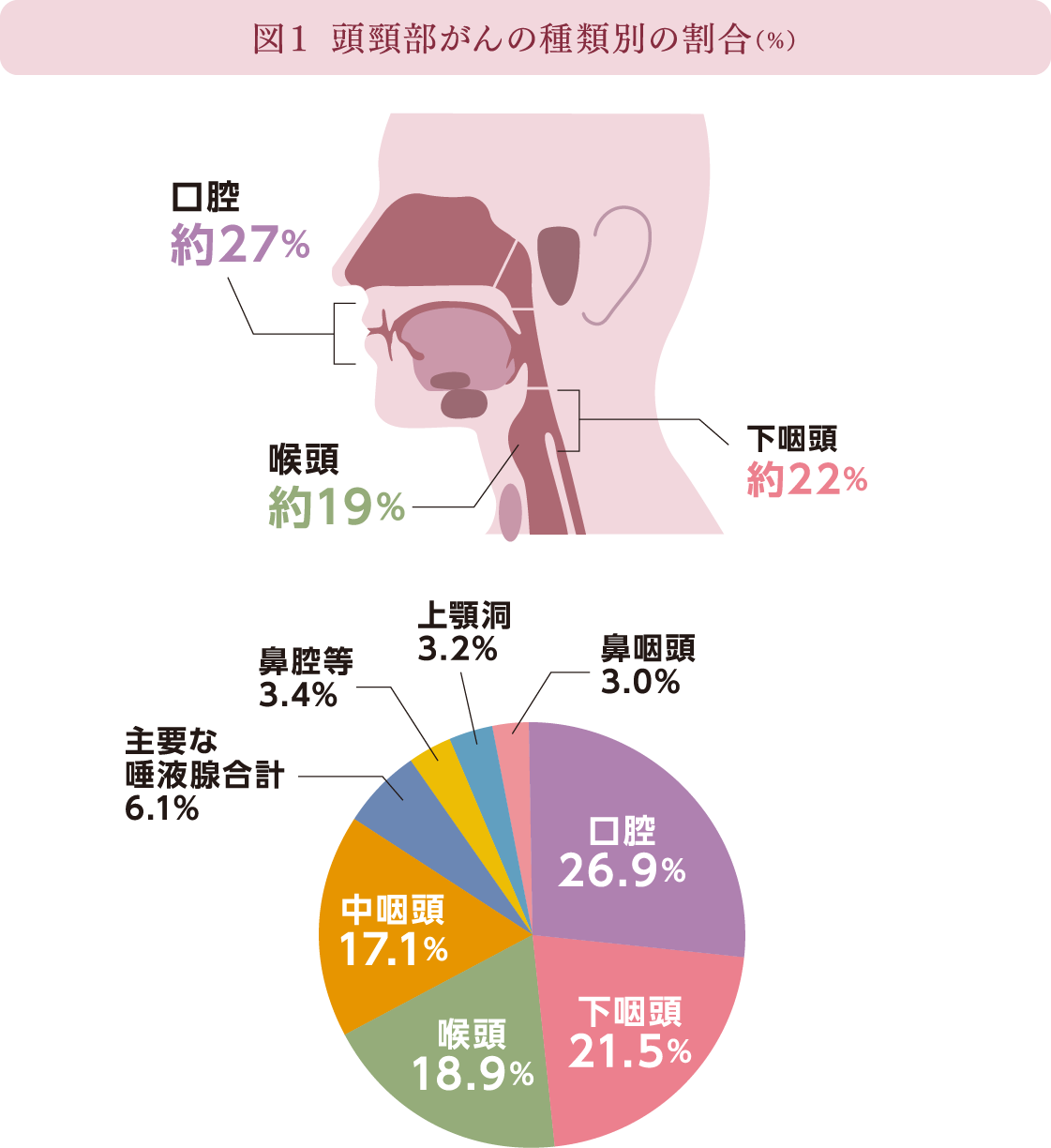 図１ 頭頸部がんの種類別の割合(%)