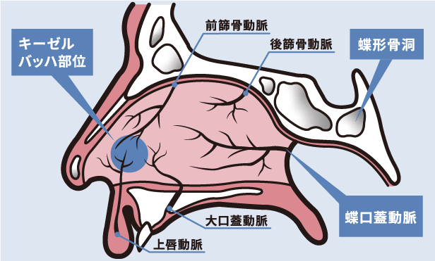 脳がフリーズする原因