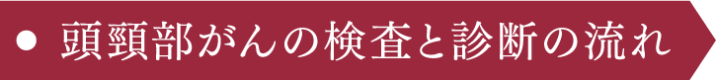 頭頸部がんの検査と診断の流れ