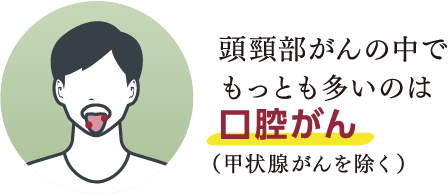 頭頸部がんの中でもっとも多いのは口腔がん（甲状腺がんを除く）