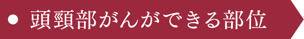 頭頸部がんができる部位