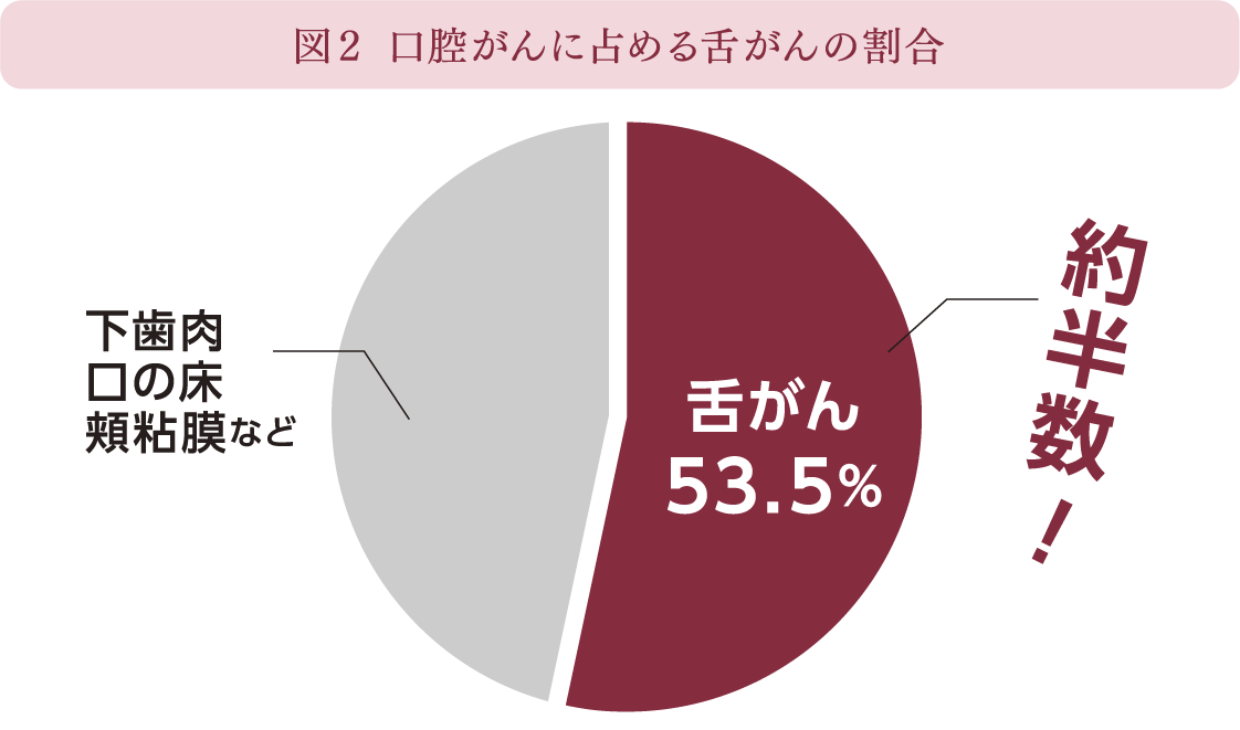 図２ 口腔がんに占める舌がんの割合