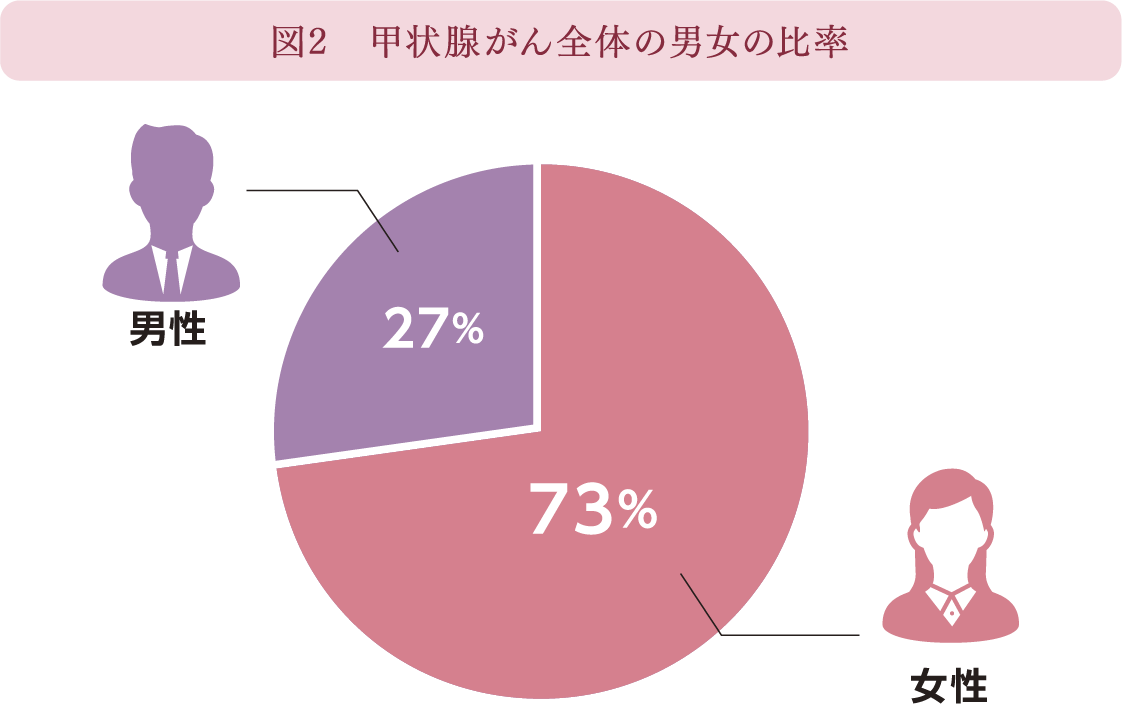 図2　甲状腺がん全体の男女の比率