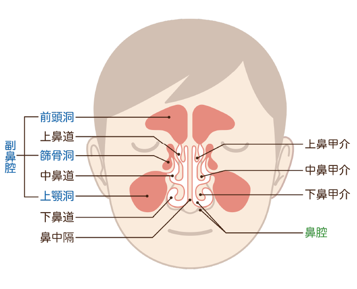 7. リラクゼーション