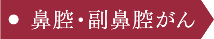 鼻腔・副鼻腔がん