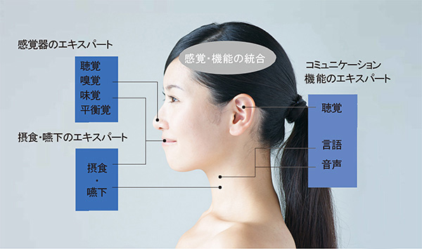 耳鼻咽喉科・頭頸部外科 2012年 増刊号 最新の診療NAVI 日常診療必携 [雑誌] 医学書院